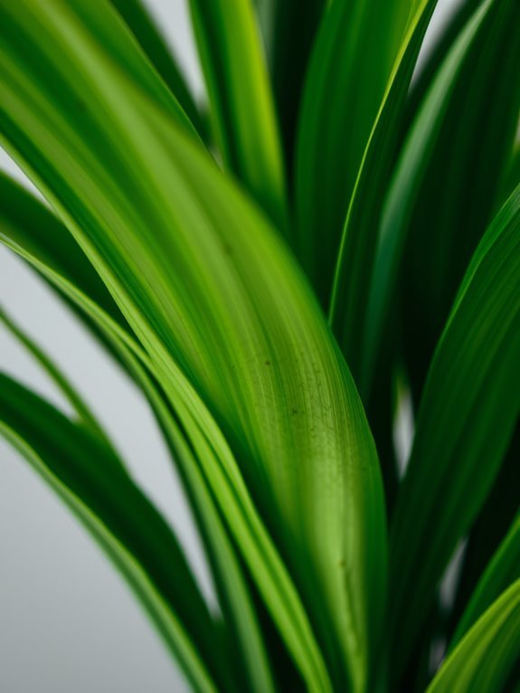 artificial dracaena decorative plant