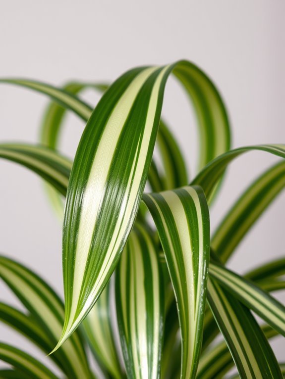 artificial spider plant decor
