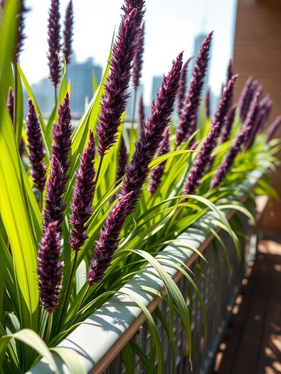 colorful decorative grain plant