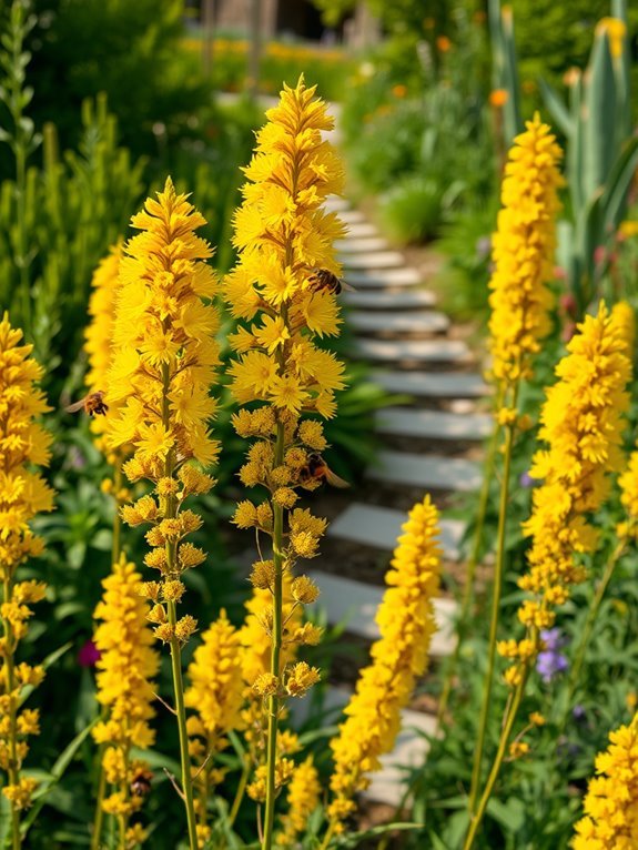 goldenrod plant species diversity